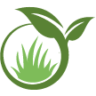 Painesville Lawn Clean Up