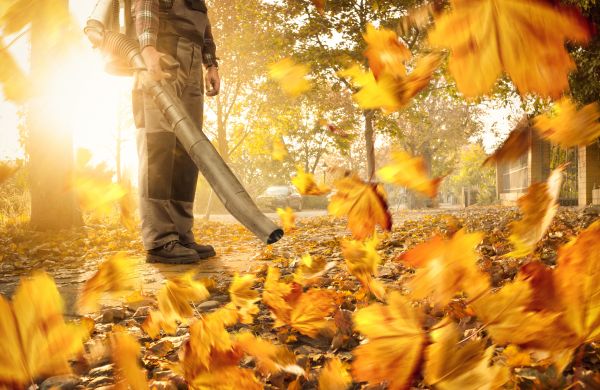 Cost of Leaf Blowing Service in Painesville