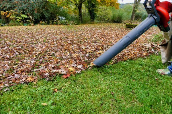 Cost of Leaf Vacuuming Service in Painesville