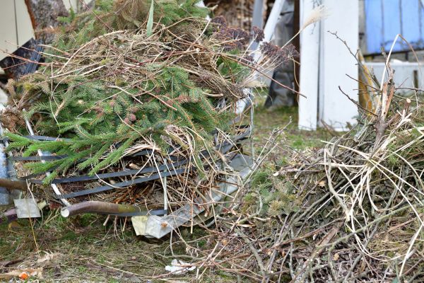 Cost of Yard Debris Removal in Painesville