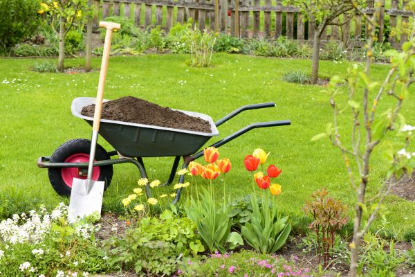 Cost of Spring Yard Cleanup in Painesville