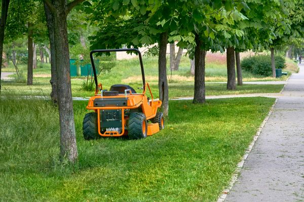 Cost of Landscaping Cleanup Service in Painesville