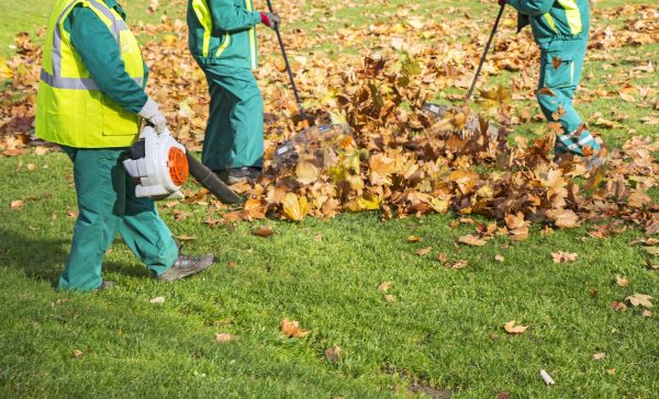 Cost of Leaf Maintenance in Painesville