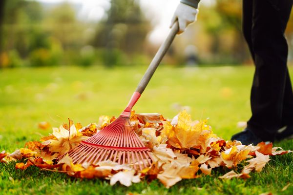Cost of Ditch Leaf Removal in Painesville