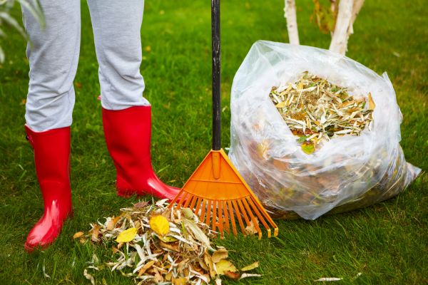 Cost of Leaf Disposal Service in Painesville