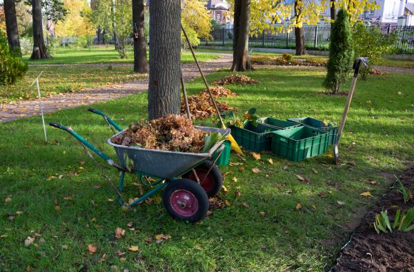Cost of Leaf Clearing Service in Painesville