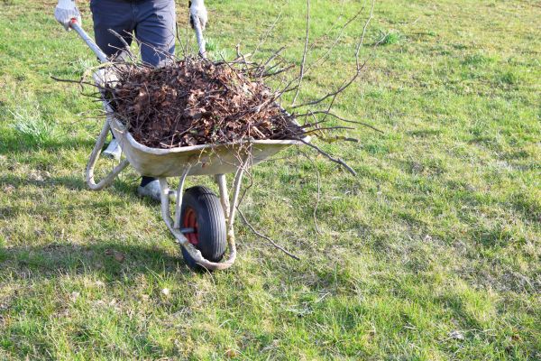 Cost of Yard Brush Removal in Painesville