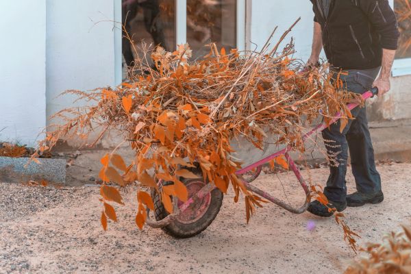 Cost of Lawn Debris Cleanup in Painesville