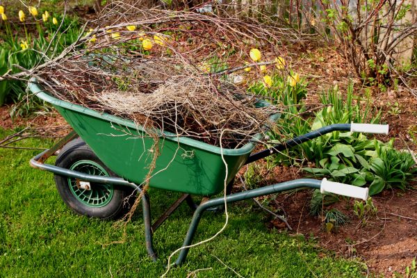 Cost of Lawn Waste Removal in Painesville
