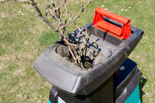 Cost of Brush Cleanup Service in Painesville