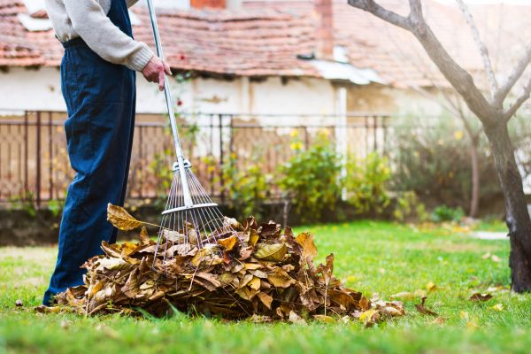 Cost of Fall Yard Cleanup Service in Painesville