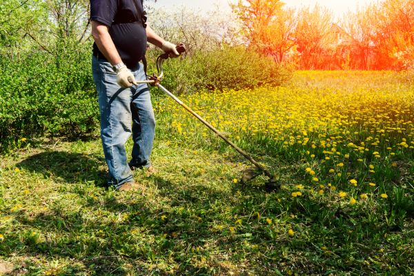 Cost of Yard Clearing Service in Painesville