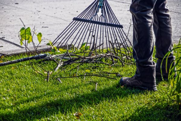 Cost of Yard Debris Cleanup in Painesville