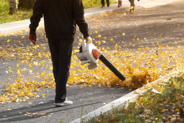 Cost of Commercial Leaf Removal in Painesville