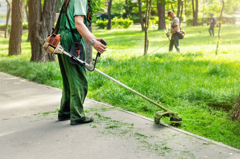 Landscaping Cleanup Service