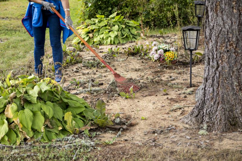 Tree and Shrub Cleanup